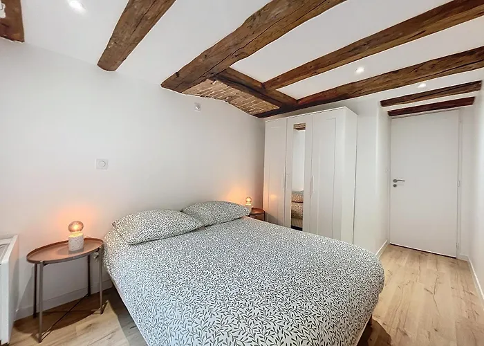 T3 Halles Sainte-claires Centre グルノーブル