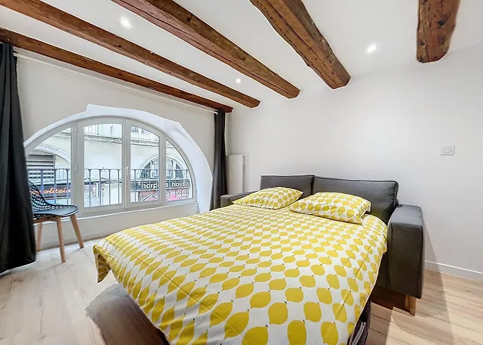 דירה T3 Halles Sainte-claires Centre גרנובל